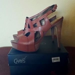 Carlos Santana Platform Stilettos